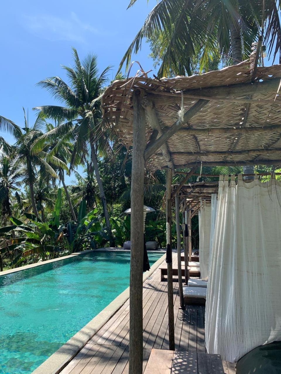 Hotel Spice Trader Sakti Esterno foto